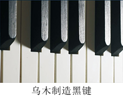 长江钢琴黑键
