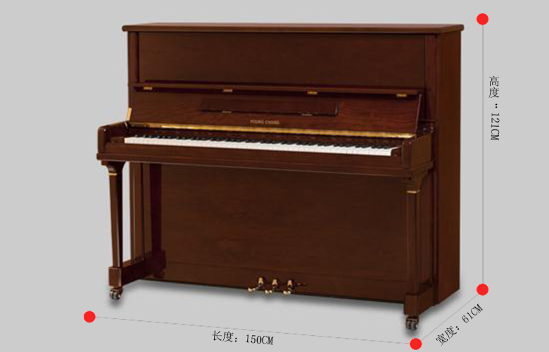 英昌钢琴Y121T3 BBP 韩国原装进口